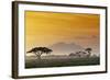 Beautiful Sunset in Kenya 03-Andrzej Kubik-Framed Photographic Print