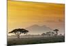 Beautiful Sunset in Kenya 03-Andrzej Kubik-Mounted Photographic Print