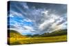 Beautiful Sunset in Moraine Park Colorado Rockies-Kris Wiktor-Stretched Canvas