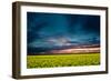 Beautiful Sunset in the Field-Oleg Saenco-Framed Photographic Print