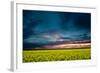 Beautiful Sunset in the Field-Oleg Saenco-Framed Photographic Print