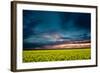 Beautiful Sunset in the Field-Oleg Saenco-Framed Photographic Print