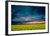 Beautiful Sunset in the Field-Oleg Saenco-Framed Photographic Print