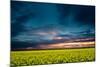 Beautiful Sunset in the Field-Oleg Saenco-Mounted Photographic Print