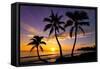 Beautiful Sunset on a Hawaiin Beach with Palm Trees-jdross75-Framed Stretched Canvas