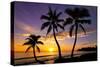 Beautiful Sunset on a Hawaiin Beach with Palm Trees-jdross75-Stretched Canvas