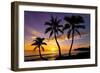 Beautiful Sunset on a Hawaiin Beach with Palm Trees-jdross75-Framed Photographic Print