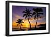 Beautiful Sunset on a Hawaiin Beach with Palm Trees-jdross75-Framed Photographic Print