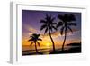 Beautiful Sunset on a Hawaiin Beach with Palm Trees-jdross75-Framed Photographic Print