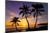 Beautiful Sunset on a Hawaiin Beach with Palm Trees-jdross75-Mounted Photographic Print