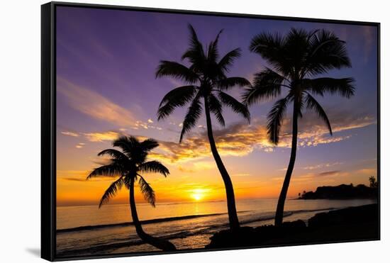 Beautiful Sunset on a Hawaiin Beach with Palm Trees-jdross75-Framed Stretched Canvas