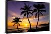 Beautiful Sunset on a Hawaiin Beach with Palm Trees-jdross75-Framed Stretched Canvas