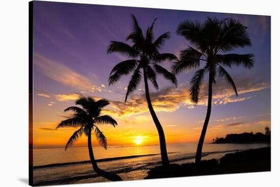 Beautiful Sunset on a Hawaiin Beach with Palm Trees-jdross75-Stretched Canvas