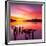 Beautiful Sunset with Colours of Red, Orange and Yellow, over Governors Bay, Looking-Travellinglight-Framed Photographic Print