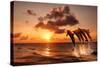 Beautiful Sunset with Dolphins Jumping-balaikin2009-Stretched Canvas