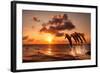 Beautiful Sunset with Dolphins Jumping-balaikin2009-Framed Photographic Print