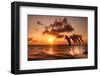 Beautiful Sunset with Dolphins Jumping-balaikin2009-Framed Photographic Print