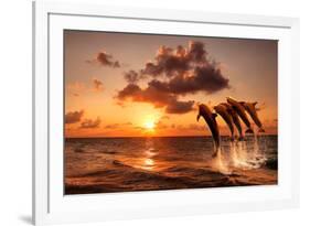 Beautiful Sunset with Dolphins Jumping-balaikin2009-Framed Photographic Print