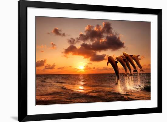 Beautiful Sunset with Dolphins Jumping-balaikin2009-Framed Photographic Print