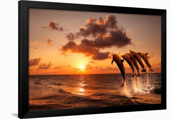 Beautiful Sunset with Dolphins Jumping-balaikin2009-Framed Photographic Print