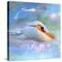 Beautiful Swan 2A-Ata Alishahi-Stretched Canvas