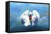 Beautiful Swan-Ata Alishahi-Framed Stretched Canvas