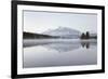 Beautiful Symmetry-Irene Suchocki-Framed Giclee Print