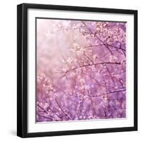 Beautiful Tender Cherry Tree Blossom in Morning Purple Sun Light-Anna Omelchenko-Framed Premium Photographic Print