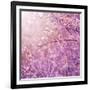 Beautiful Tender Cherry Tree Blossom in Morning Purple Sun Light-Anna Omelchenko-Framed Art Print