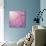 Beautiful Tender Cherry Tree Blossom in Morning Purple Sun Light-Anna Omelchenko-Art Print displayed on a wall