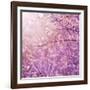 Beautiful Tender Cherry Tree Blossom in Morning Purple Sun Light-Anna Omelchenko-Framed Art Print