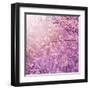 Beautiful Tender Cherry Tree Blossom in Morning Purple Sun Light-Anna Omelchenko-Framed Art Print