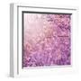 Beautiful Tender Cherry Tree Blossom in Morning Purple Sun Light-Anna Omelchenko-Framed Art Print