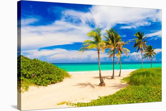 Beautiful Tropical Beach in Cuba-Kamira-Stretched Canvas