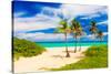 Beautiful Tropical Beach in Cuba-Kamira-Stretched Canvas