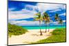 Beautiful Tropical Beach in Cuba-Kamira-Mounted Photographic Print