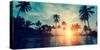 Beautiful Tropical Beach with Palm Trees Silhouettes at Dusk.-De Visu-Stretched Canvas