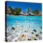 Beautiful Tropical Island in French Polynesia under and above Water-BlueOrange Studio-Stretched Canvas