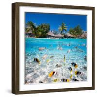 Beautiful Tropical Island in French Polynesia under and above Water-BlueOrange Studio-Framed Photographic Print