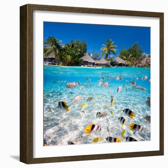 Beautiful Tropical Island in French Polynesia under and above Water-BlueOrange Studio-Framed Photographic Print