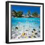 Beautiful Tropical Island in French Polynesia under and above Water-BlueOrange Studio-Framed Photographic Print