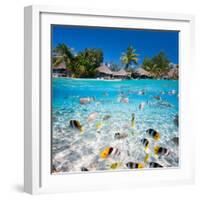 Beautiful Tropical Island in French Polynesia under and above Water-BlueOrange Studio-Framed Photographic Print