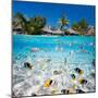 Beautiful Tropical Island in French Polynesia under and above Water-BlueOrange Studio-Mounted Photographic Print