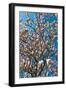 Beautiful Tulip Blossom Trees in Bloom-Peter Wollinga-Framed Photographic Print