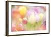 Beautiful Tulips Made with Color Filters-Timofeeva Maria-Framed Art Print