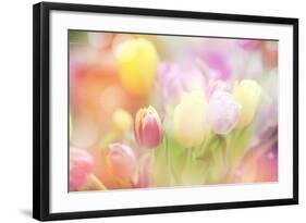 Beautiful Tulips Made with Color Filters-Timofeeva Maria-Framed Art Print