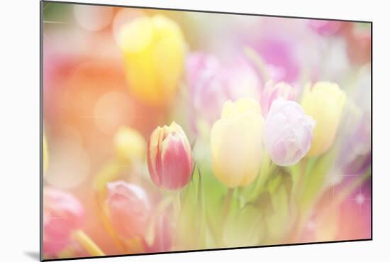 Beautiful Tulips Made with Color Filters-Timofeeva Maria-Mounted Art Print