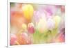 Beautiful Tulips Made with Color Filters-Timofeeva Maria-Framed Art Print