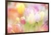 Beautiful Tulips Made with Color Filters-Timofeeva Maria-Framed Art Print