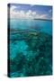 Beautiful Turquoise Water in the Ant Atoll, Pohnpei, Micronesia, Pacific-Michael Runkel-Stretched Canvas
